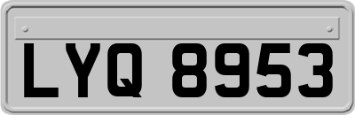 LYQ8953