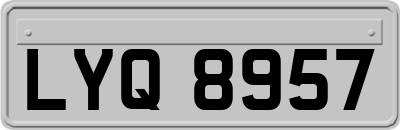 LYQ8957