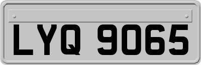 LYQ9065