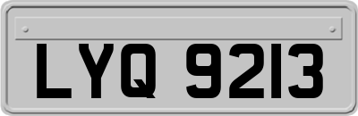 LYQ9213