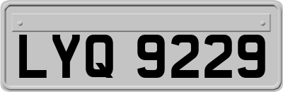 LYQ9229