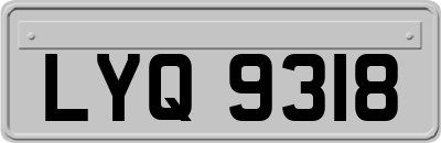 LYQ9318