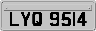 LYQ9514