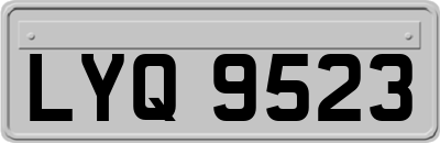 LYQ9523