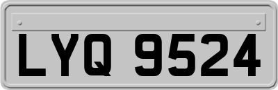 LYQ9524