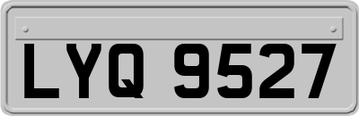 LYQ9527