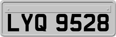 LYQ9528