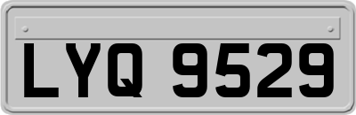 LYQ9529