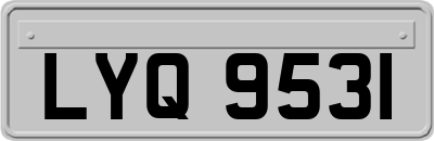 LYQ9531