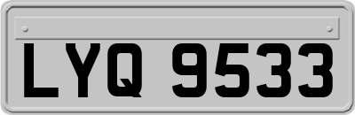 LYQ9533