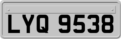 LYQ9538