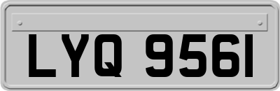 LYQ9561