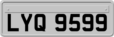 LYQ9599