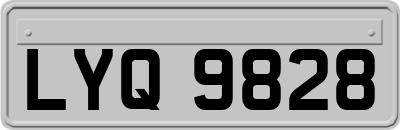 LYQ9828
