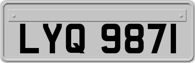 LYQ9871