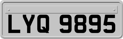 LYQ9895