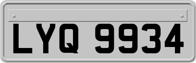 LYQ9934