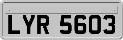 LYR5603