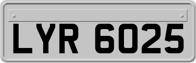 LYR6025