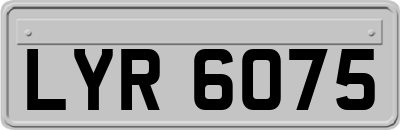 LYR6075
