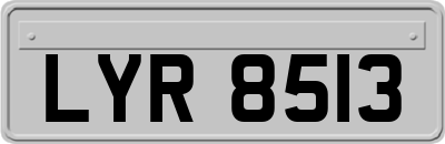 LYR8513