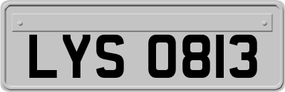 LYS0813