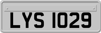 LYS1029