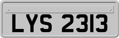LYS2313