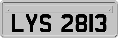 LYS2813