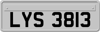 LYS3813