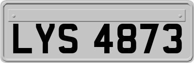 LYS4873