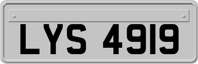 LYS4919