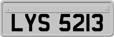LYS5213