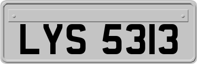 LYS5313