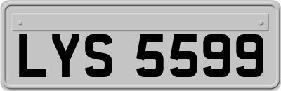 LYS5599