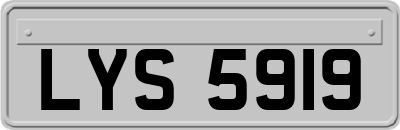 LYS5919