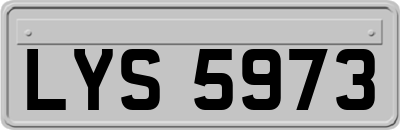 LYS5973