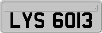 LYS6013