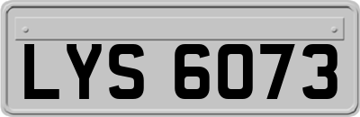 LYS6073