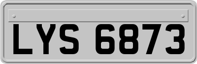 LYS6873