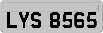 LYS8565