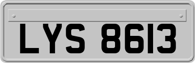 LYS8613