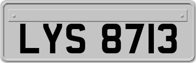 LYS8713