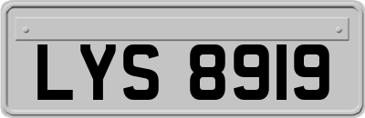 LYS8919