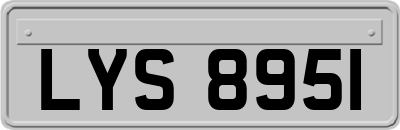 LYS8951