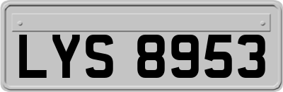 LYS8953