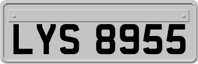 LYS8955