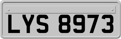 LYS8973