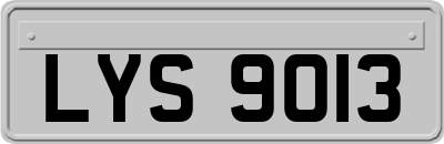 LYS9013