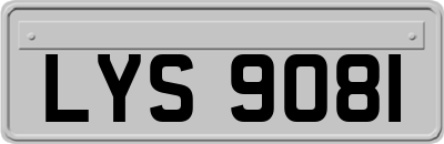 LYS9081